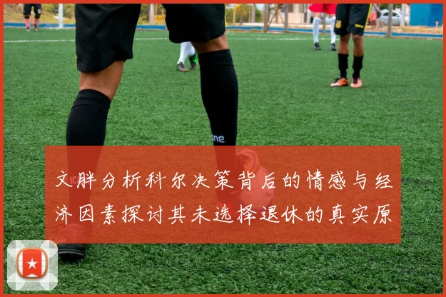 文胖分析科尔决策背后的情感与经济因素探讨其未选择退休的真实原因